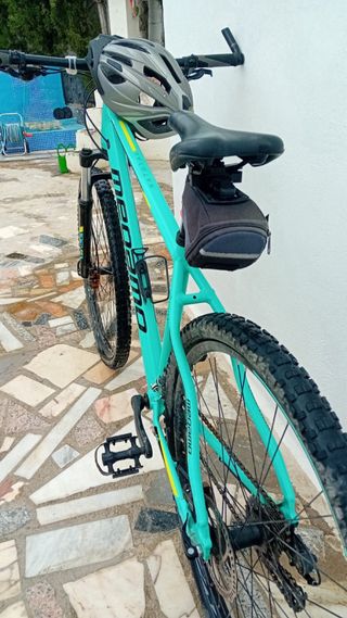 Bicicleta de Montaña