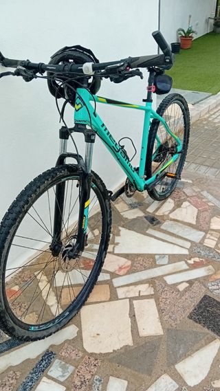 Bicicleta de Montaña