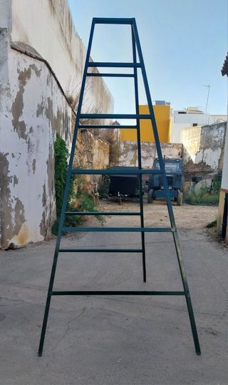 Escalera aceitunas banco - precios de fábrica
