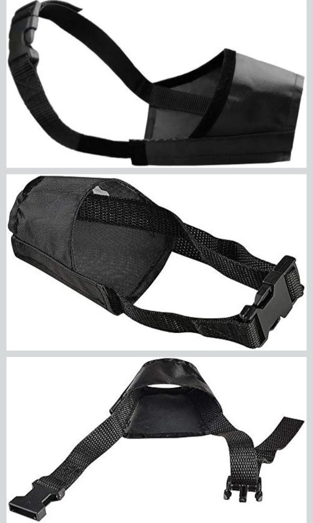 Museruola + Pettorina per Cani