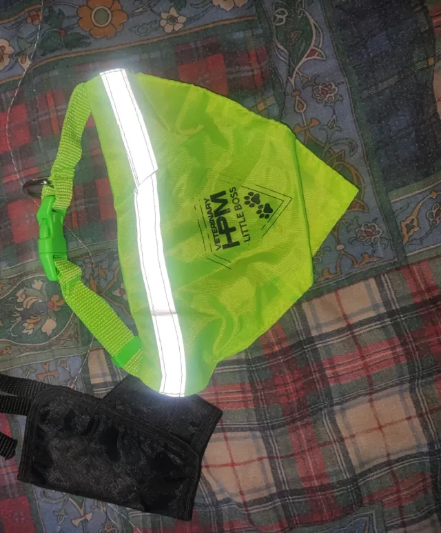 Museruola + Pettorina per Cani