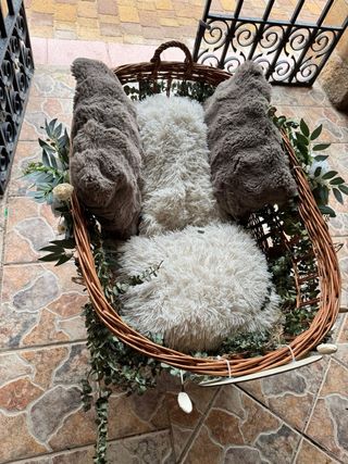 Carrito bebé para bodas