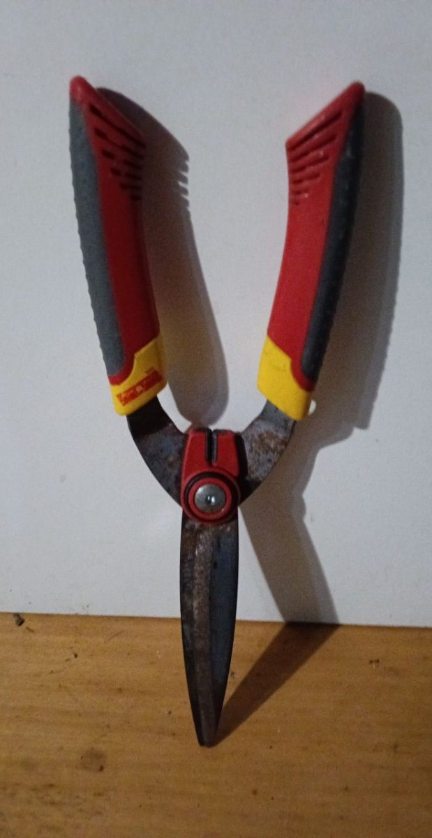 Tijeras de poda Outils Wolf