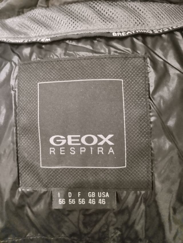 Cazadora acolchada plumas gris.