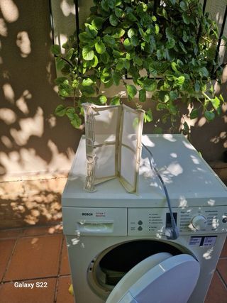 Secadora Bosch Maxx Sensitive