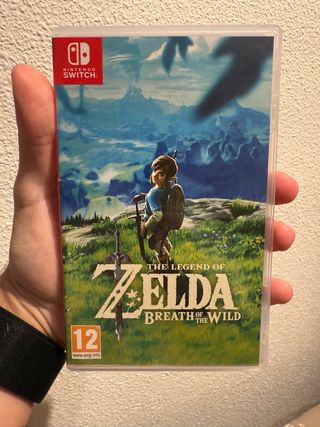 Zelda Breath of the Wild Nintendo Switch