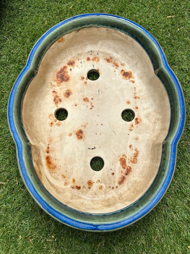 Maceta de cerámica azul y verde