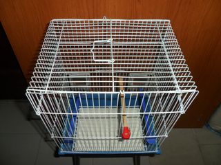 JAULA PARA PÁJAROS POR 10 EUROS