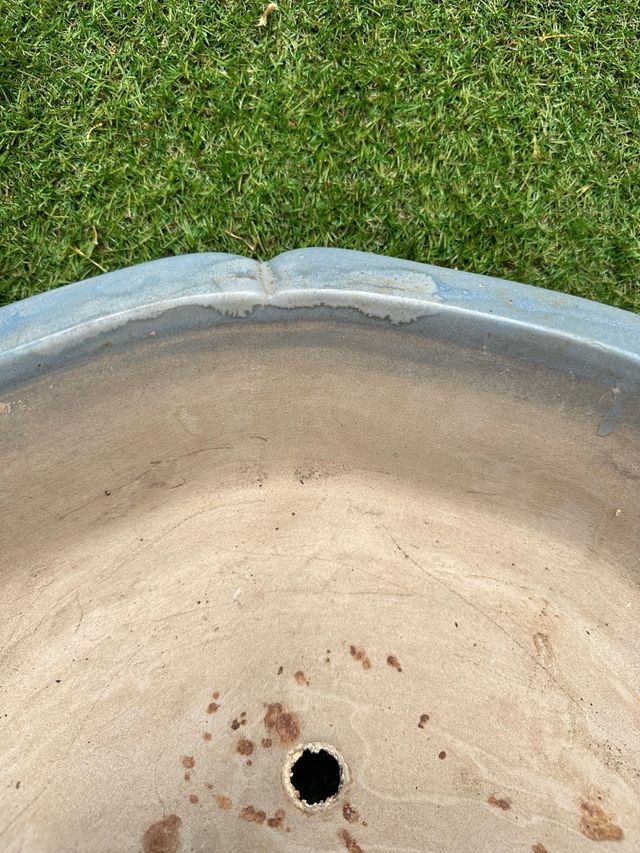 Maceta Bonsái Cerámica Beige y Azul muy antiguo