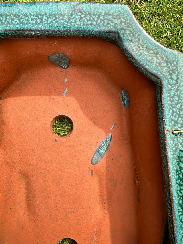 Maceta Bonsái Cerámica Terracota