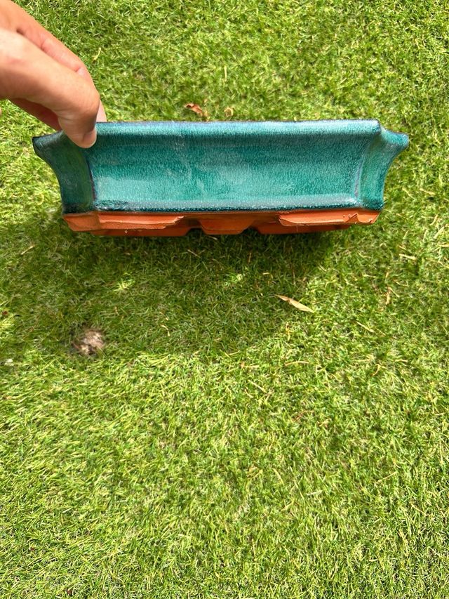 Maceta Bonsái Cerámica Terracota