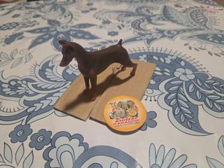 Colección animales