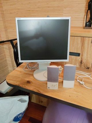Pantalla NEC + 2 Altavoces