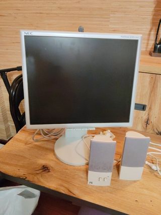 Pantalla NEC + 2 Altavoces