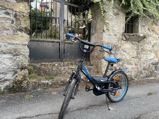 Bicicletta a ruota libera Trek Precaliber 20
