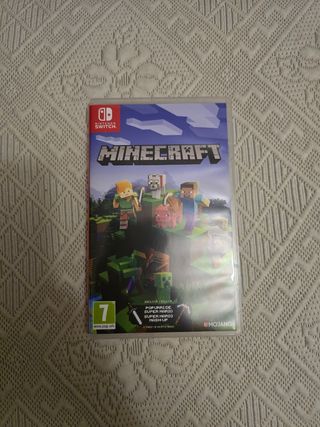 Minecraft Nintendo Switch