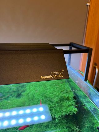 Acuario 134L - 76x39x45cm + Mueble Kallax Ikea