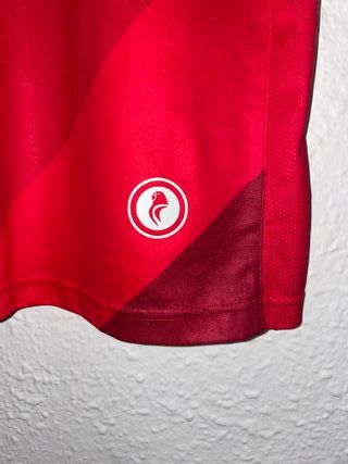 Camiseta RCD Espanyol 2019 Kelme