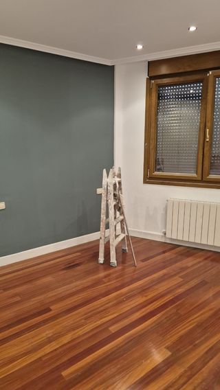Servicios de pintura profesional