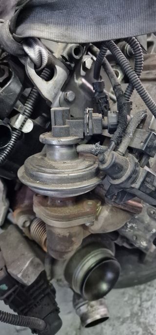 Válvula EGR BMW 318d 2010 143cv