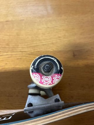 Skate Element con diseño de bosque