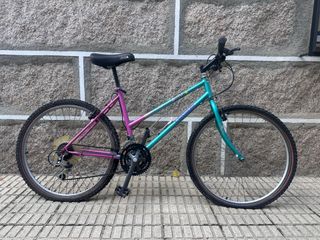 Bicicleta de Montaña Orbea Evasión.