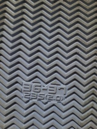 Chanclas Sharklas. Invierno y Verano