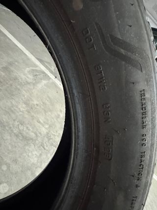 2 Neumaticos Bridgestone Alenza