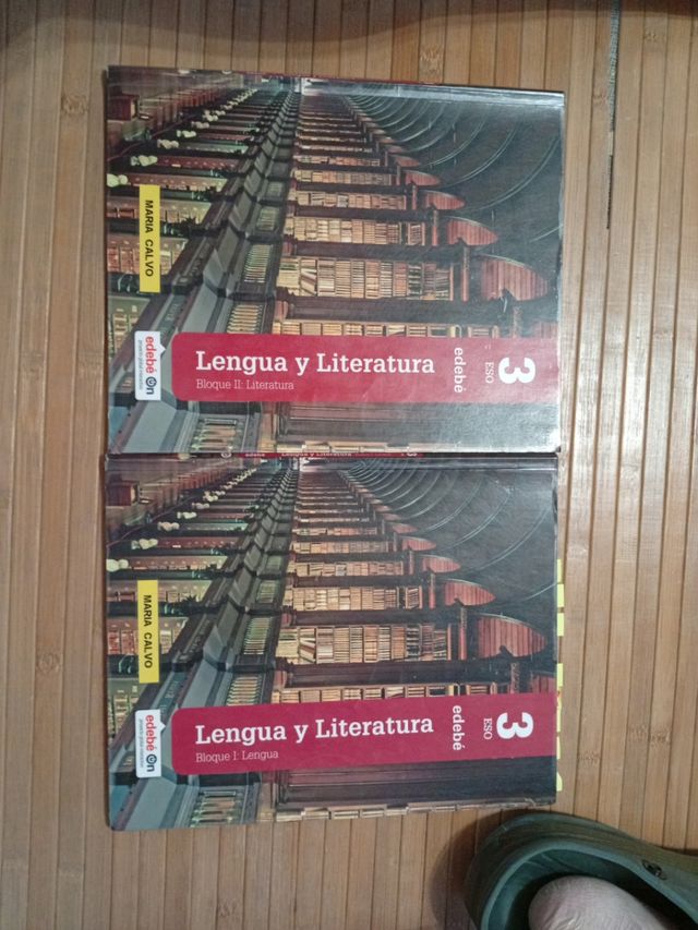 LENGUA Y LITERATURA 3