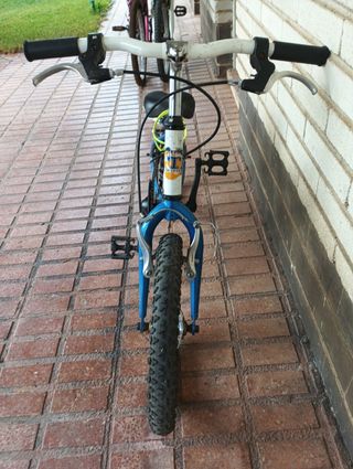 Bicicleta infantil niño
