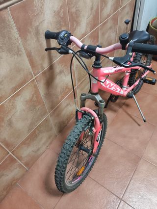 Bicicleta Infantil 20 Rosa