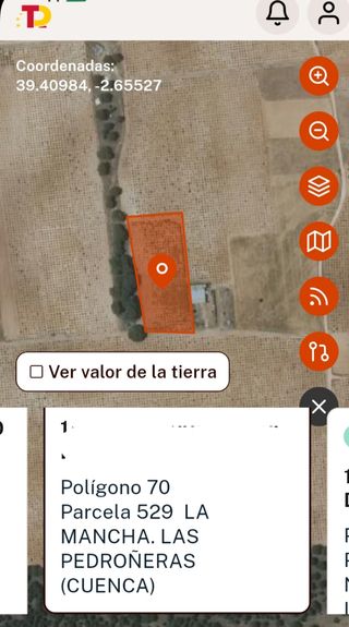 Terreno agrario viñedo