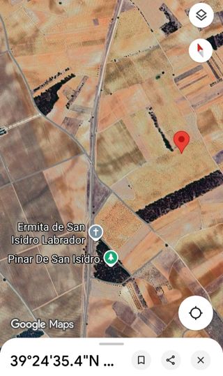 Terreno agrario viñedo