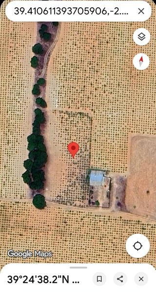 Terreno agrario viñedo