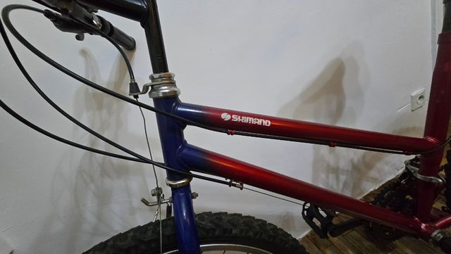 Bicicleta de montaña