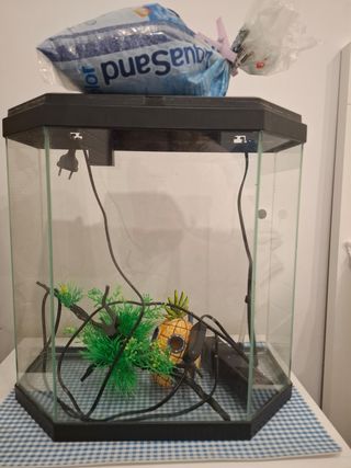 Pecera hexagonal con accesorios