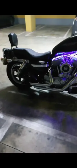 Escapes Harley Davidson Sportster 883 04-10