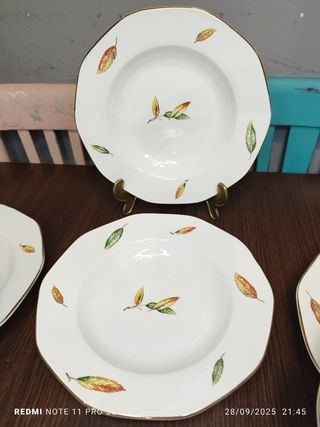 13 Platos Hondos Vintage Porcelana Francesa