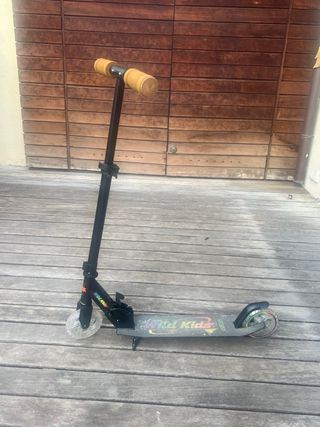 Patinete Plegable Wild Kids