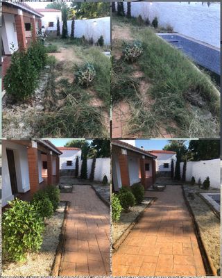 Jardineria y Limpiezas Profesionales