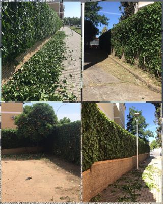 Jardineria y Limpiezas Profesionales