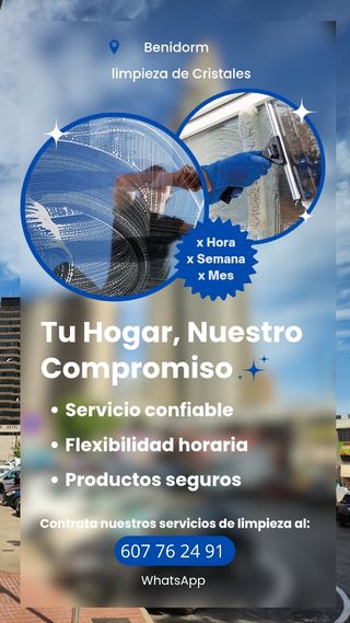 Limpieza Profesional