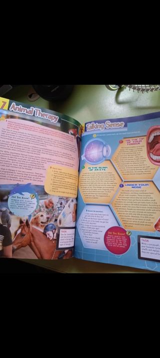 Student's Book New English In USE 4 ESO