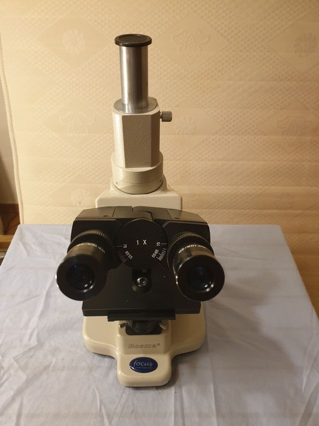 MICROSCOPIO PROFESIONAL FOCUS