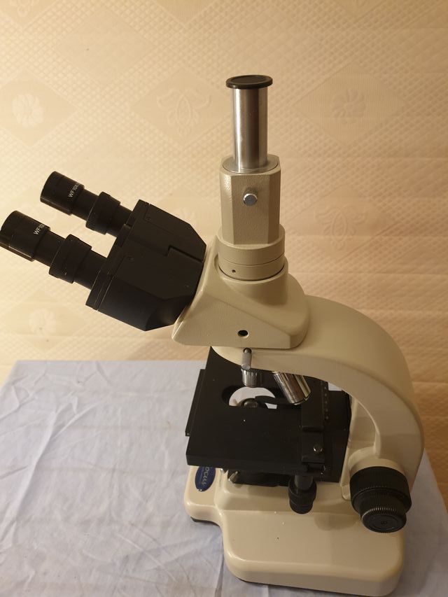 MICROSCOPIO PROFESIONAL FOCUS