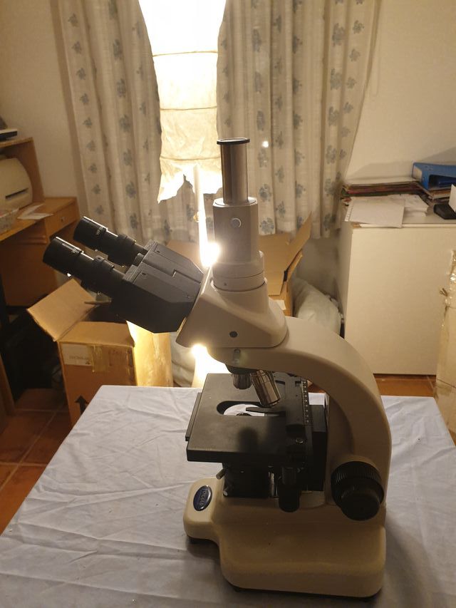 MICROSCOPIO PROFESIONAL FOCUS