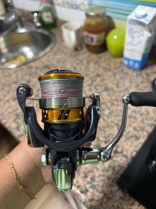 Carrete de pesca Daiwa Regal 2500