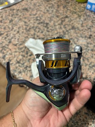 Carrete de pesca Daiwa Regal 2500
