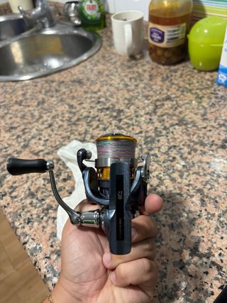 Carrete de pesca Daiwa Regal 2500