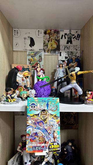 Expositor para mangas y libros